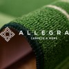 Мокетен килим ROXI GREEN